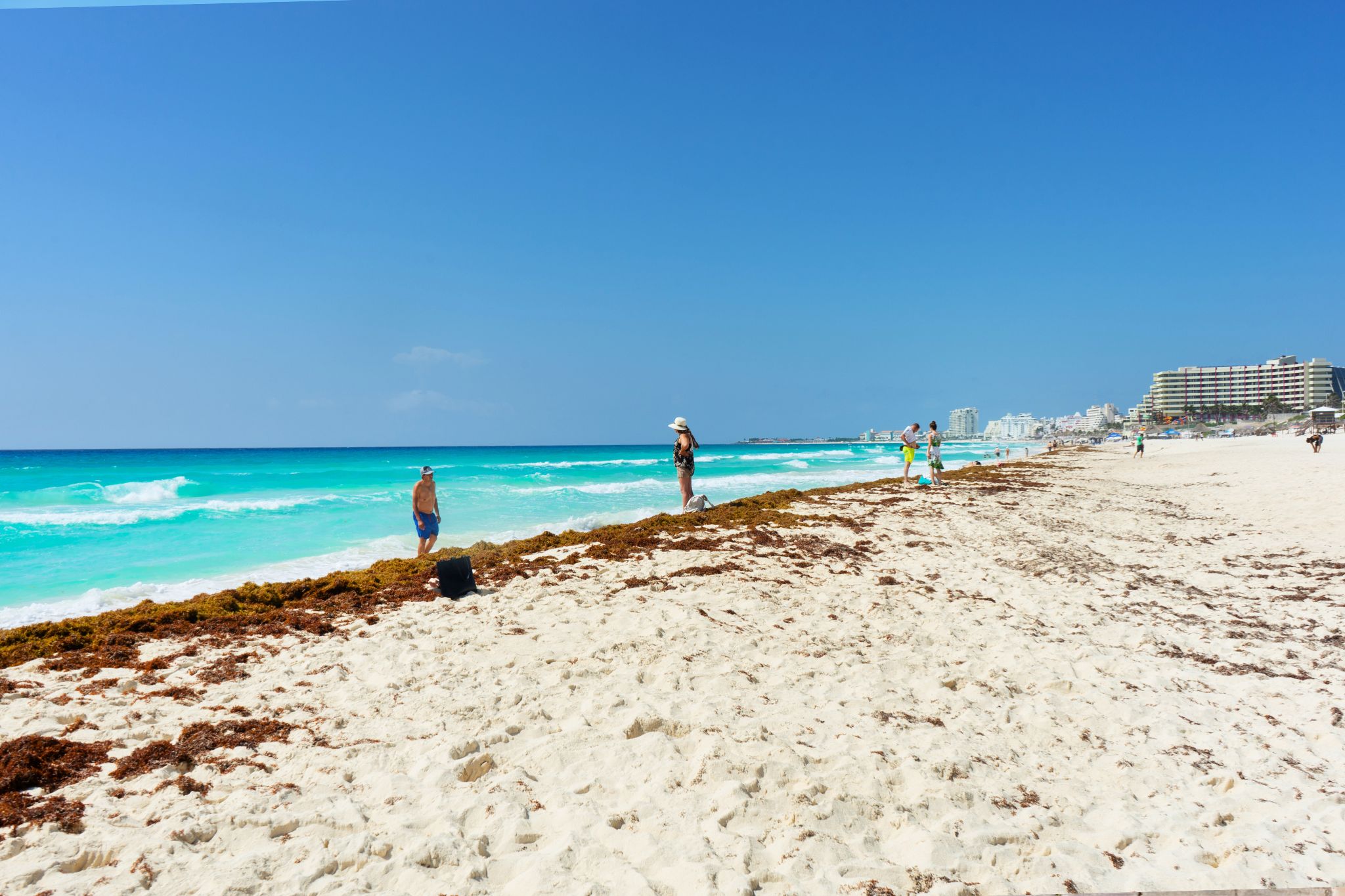 Mexican Hotel Association Refuses To Keep Paying For Sargassum Cleaning