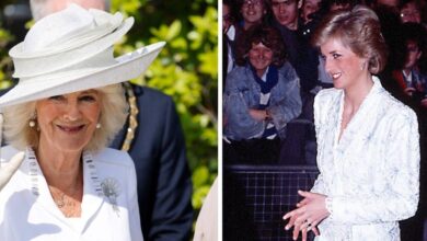 Princess Diana's heartbreaking prediction about Queen Camilla comes true