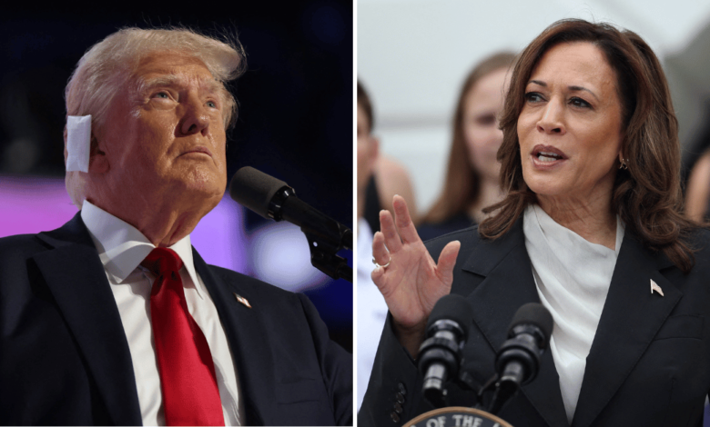 Donald Trump questions Kamala Harris' ethnicity