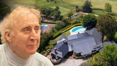 Gene Wilder House, once owned by Elon Musk, is back on the market