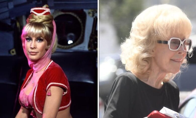 'I Dream of Jeanie' star Barbara Eden celebrates 93rd birthday