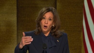 Kamala Harris rips Donald Trump at DNC