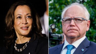 Kamala Harris' running mate Tim Walz is raising safety concerns