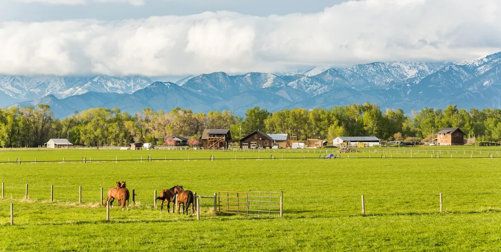 Montana's reverse mortgage program could provide room for industry collaboration