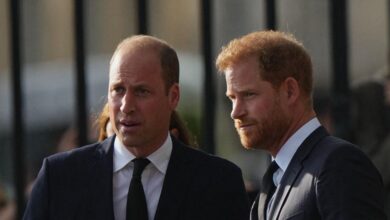 Prince Harry received silence from Prince William at uncle's funeral