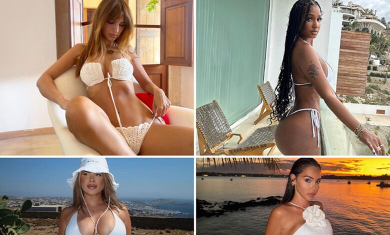 Sexy stars in smoking hot bikinis... Work hard, play hard!