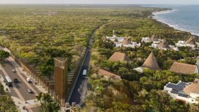 Tulum To Open A New Natural Park Combining Jungle, Archaeology, and Stunning Beaches