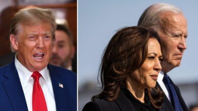 Biden and Harris accused of walking a tightrope over attacks on Trump