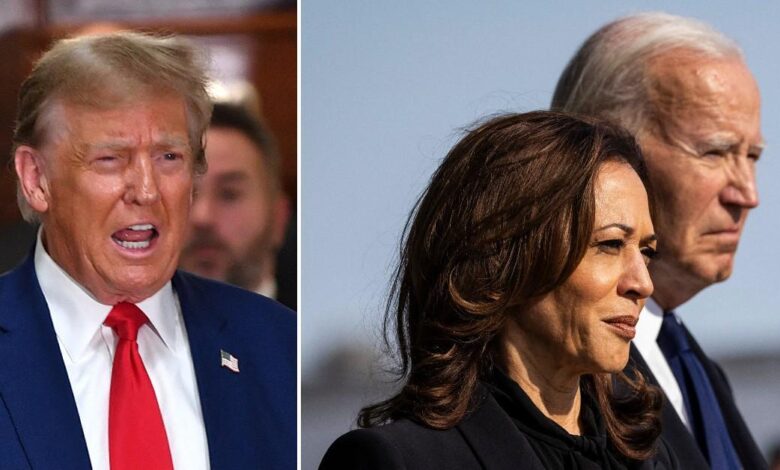 Biden and Harris accused of walking a tightrope over attacks on Trump