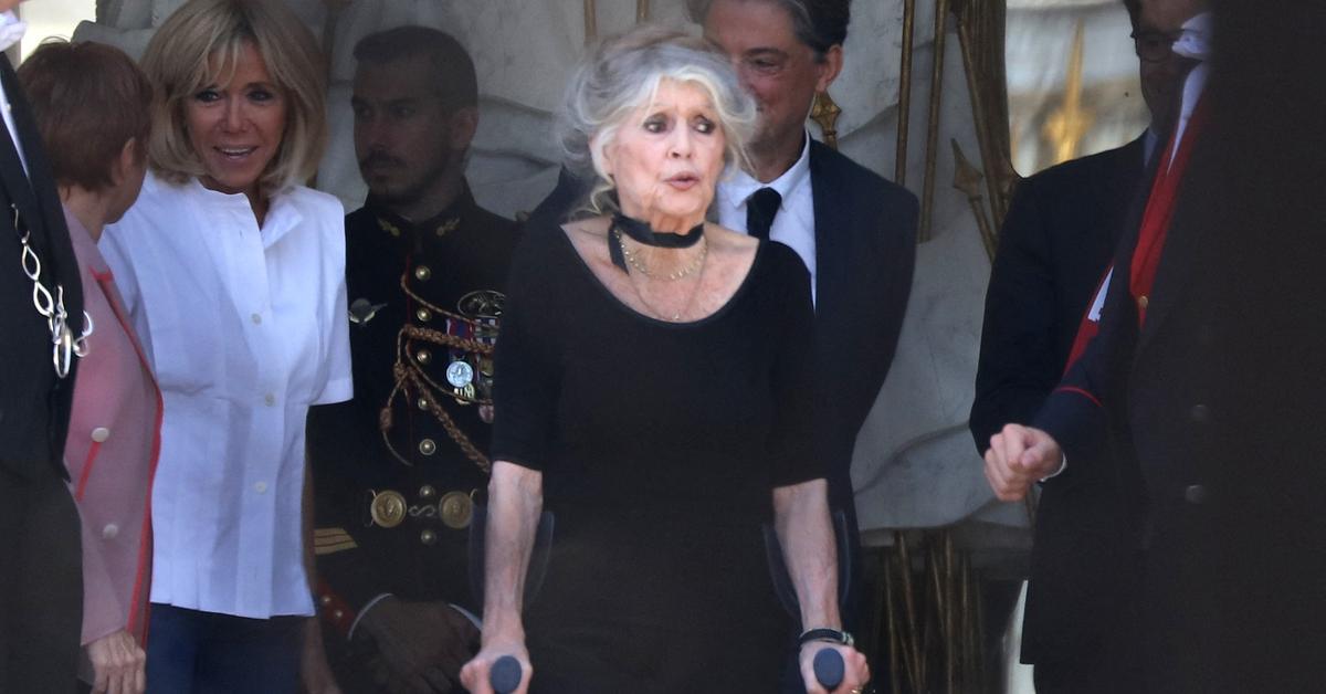 Brigitte Bardot plans 'Revenge Tell-All' about Hollywood sleaze