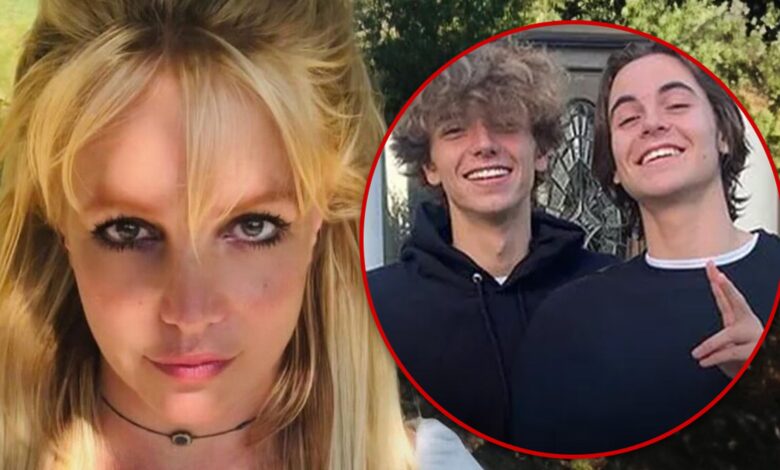 Britney Spears calls out her sons' birthdays and says she's cut off people who play mind games