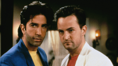 David Schwimmer surprised Matthew Perry praised his 'Friends' acting