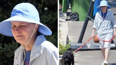 Frail Sally Field, 77, looks unrecognizable walking her dog: photos