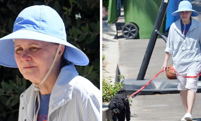 Frail Sally Field, 77, looks unrecognizable walking her dog: photos