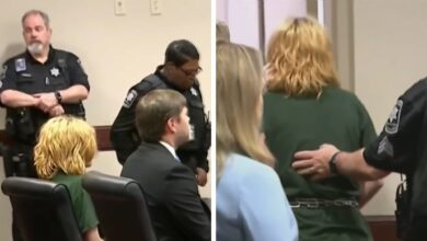 Georgia School shoots suspect Colt Gray for the first time in court