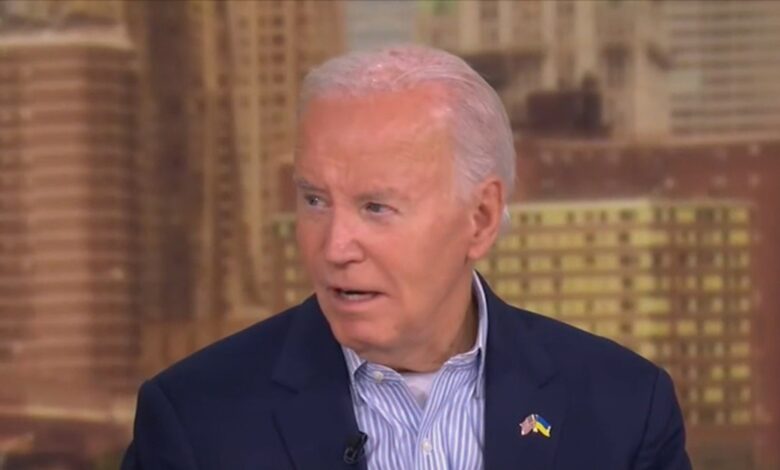 Joe Biden denies rumors of tension with Nancy Pelosi on 'The View'