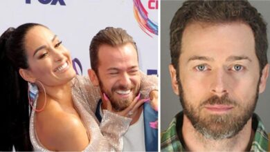 Nikki Bella speaks after Artem Chigvintsev's arrest for domestic violence