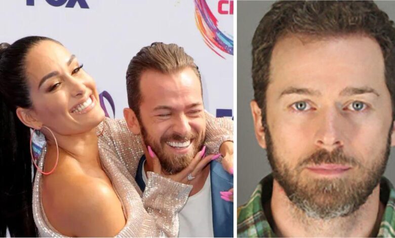 Nikki Bella speaks after Artem Chigvintsev's arrest for domestic violence