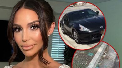 Scheana Shay says the car was stolen right in front of the house