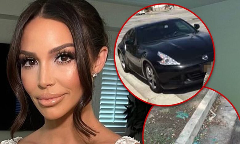 Scheana Shay says the car was stolen right in front of the house