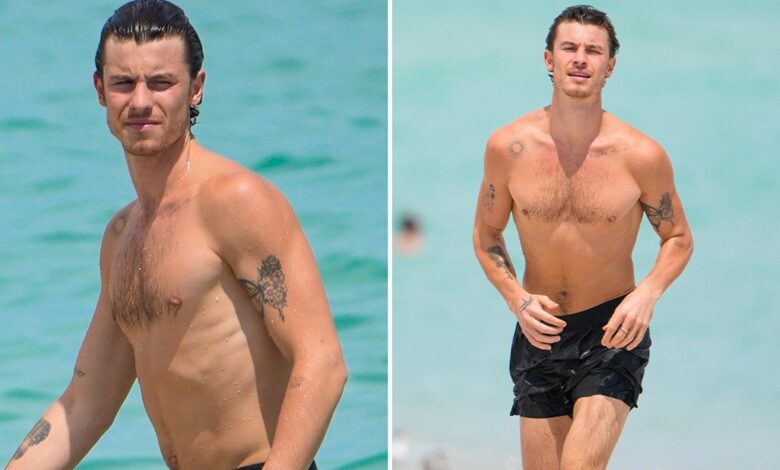 Shawn Mendes walks around the beach dripping wet after a quick swim