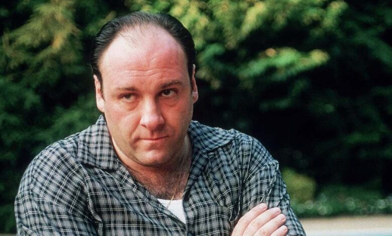 Sopranos casts quotes about James Gandolfini in Wise Guy documentary