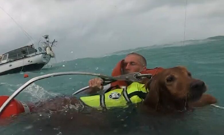 US Coast Guard rescues man and dog in dramatic video after hurricane damages boat