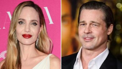 Angelina Leaves FBI Battle Over Brad Plane 'Bust-Up' and Is 'White Flag'