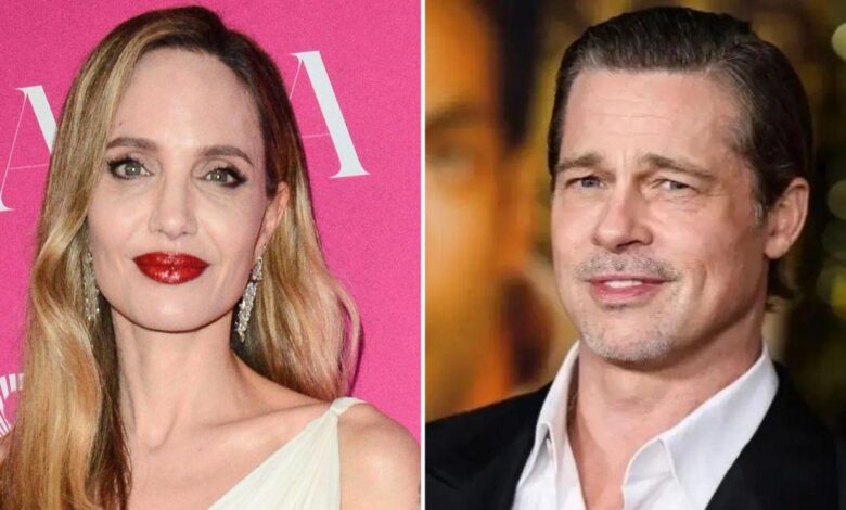 Angelina Leaves FBI Battle Over Brad Plane 'Bust-Up' and Is 'White Flag'