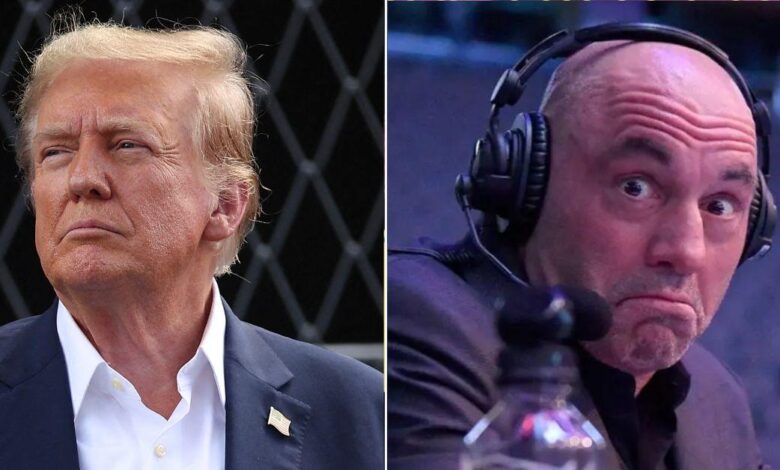 Donald Trump spends three hours chatting to Joe Rogan about UFOs