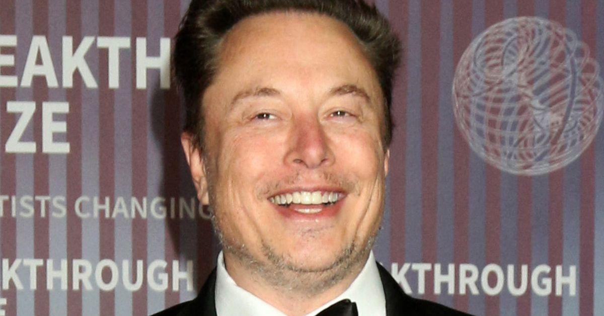 Elon Musk denies cult-like Texas compound, calling it an 'art project'