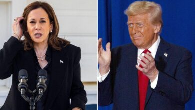 Kamala Harris calls Trump 'threat to democracy' in Ellipse speech