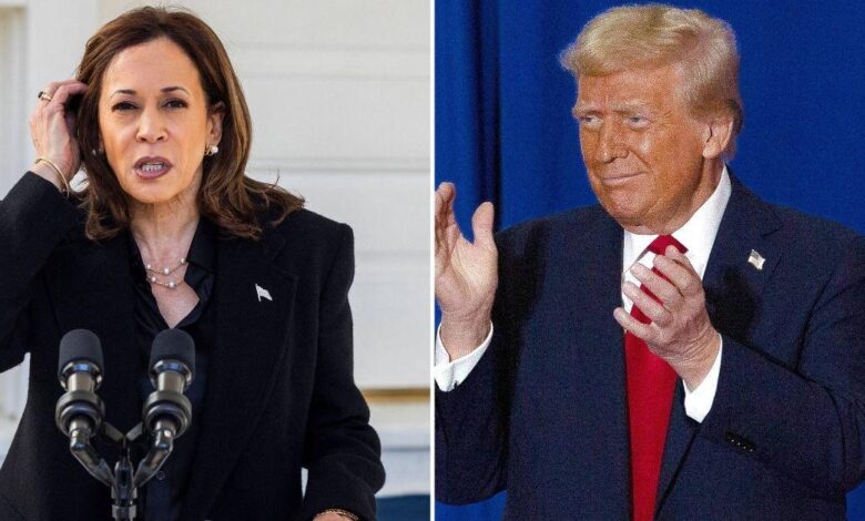 Kamala Harris calls Trump 'threat to democracy' in Ellipse speech