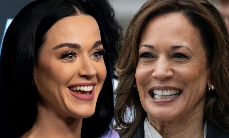 Katy Perry surprises Kamala Harris staffers at campaign rally