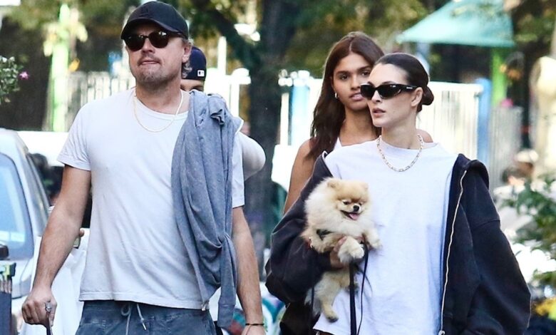 Leonardo DiCaprio and Vittoria Ceretti NYC walk with new puppy