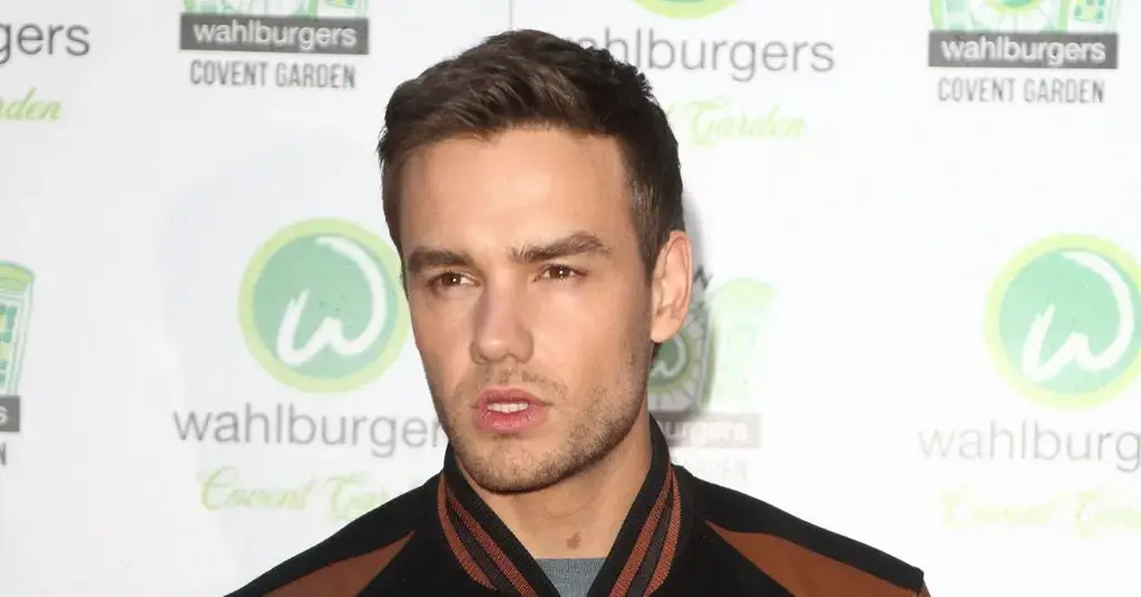 Liam Payne gave a brutally honest interview about rehabilitation and 1D rivalry