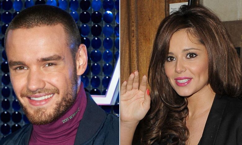 Liam Payne praised ex Cheryl for understanding what he was 'going through'