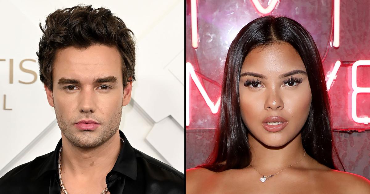 Liam Payne's ex Aliana Mawla shares tribute to late singer