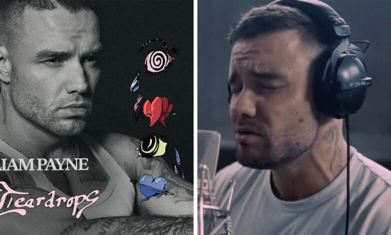 Liam Payne's unreleased album lyrics raise suicidal fears about the singer