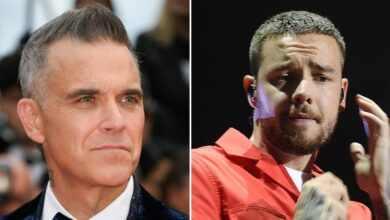 Payne's 'mentor' Robbie Williams admits he had 'demons' and feared he would be 'next'