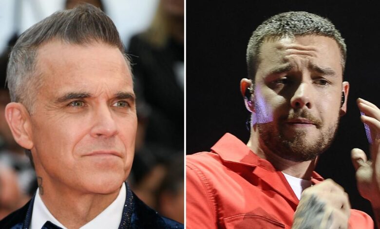 Payne's 'mentor' Robbie Williams admits he had 'demons' and feared he would be 'next'