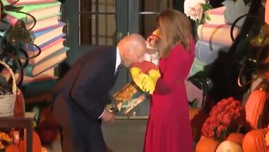 President Biden Pretends to Bite Baby in Chicken Costume, Internet Loses It