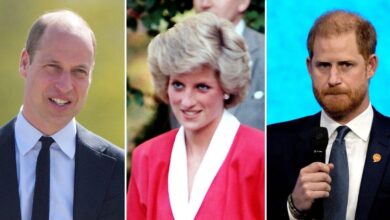 Princess Diana is said to be devastated if Prince Harry disapproved of the charity