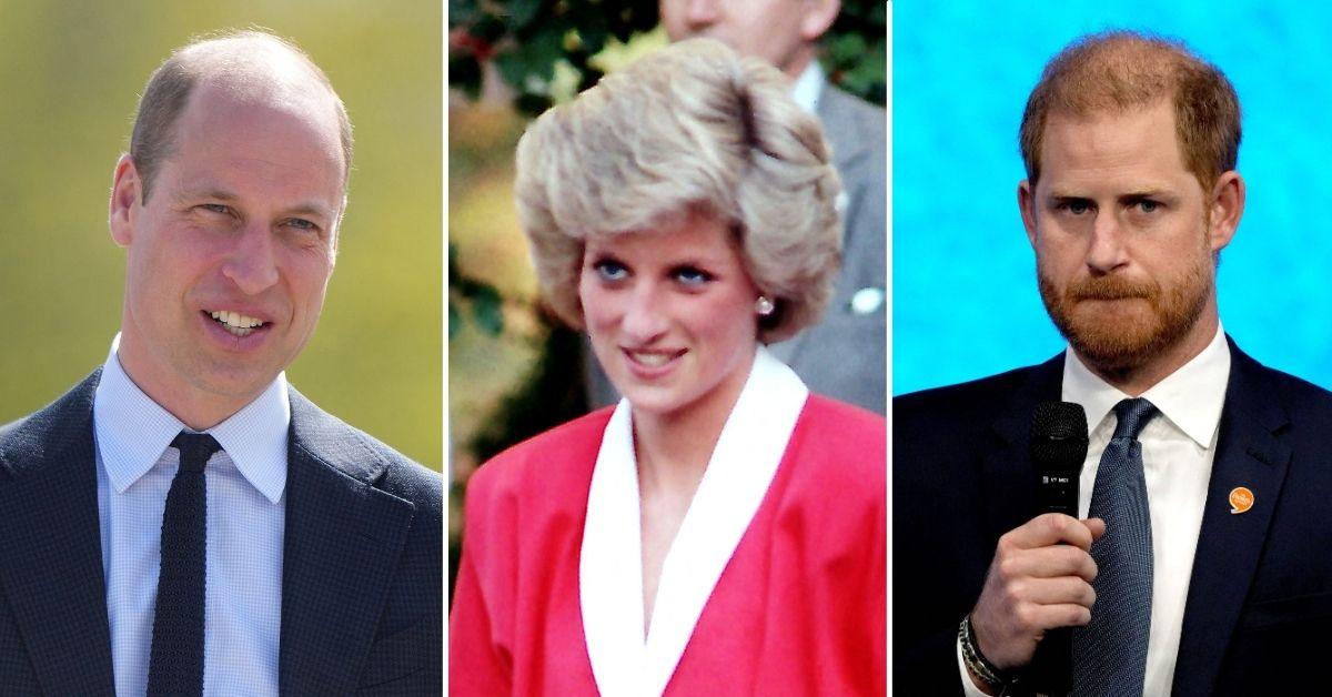 Princess Diana is said to be devastated if Prince Harry disapproved of the charity