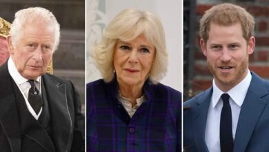 Queen Camilla begs King Charles to cancel meeting with Prince Harry