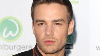 Signs of Liam Payne's erratic behavior visible in surgeries and videos