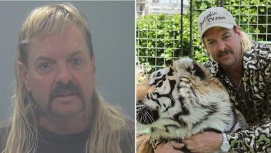 Tiger King's Joe Exotic reveals an evil prison nightmare in a new interview