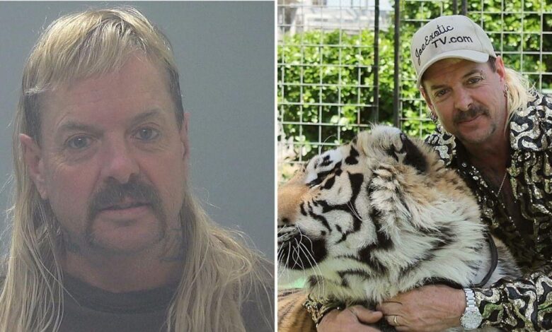 Tiger King's Joe Exotic reveals an evil prison nightmare in a new interview