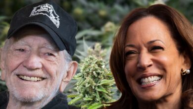 Willie Nelson hosts a cannabis community event in support of Kamala Harris