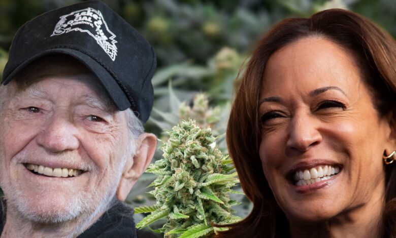 Willie Nelson hosts a cannabis community event in support of Kamala Harris